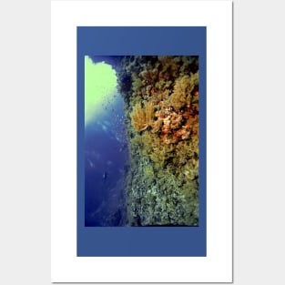 UNDERWATER LANDSCAPE PERSPECTIVES Posters and Art